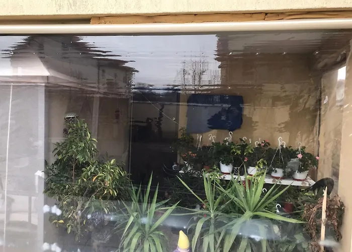 Elena Quarto em Acomodações Particulares *